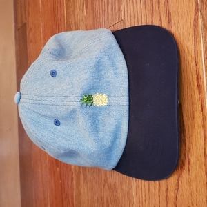 Rosin Headwear Pineapple Demin Blue Snapback Hat Cap One Size